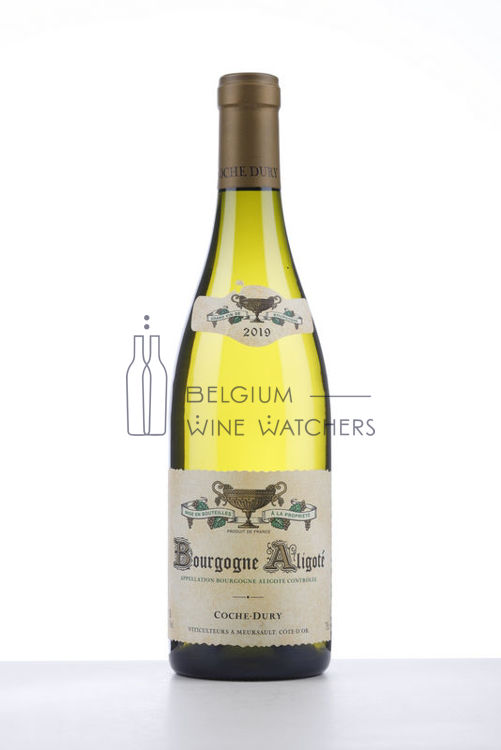 Image de 2019 BOURGOGNE ALIGOTE